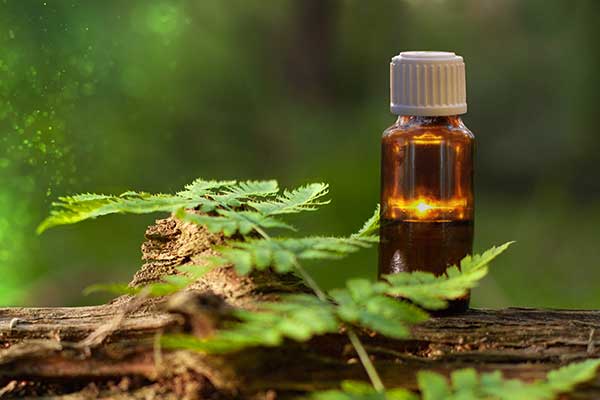 Aromathérapie et huiles essentielles Aromathérapie et huiles essentielles
